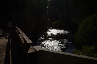 DSC_3519 (Large).JPG